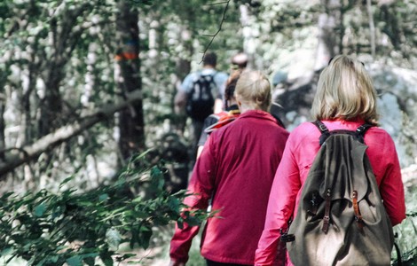En grupp människor som vandrar längs med en vandringsled. På bilden ser man gröna träd och fyra personer, två män och två kvinnor. Närmast bilden går kvinnorna med varsin rosa tröja. Kvinnorna är har båda blont hår. Kvinnan närmast i bild bär på en grön ryggsäck. 