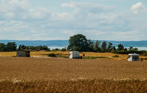 Ett foto över ett gult fält där tre husbilar står parkerade. I bakgrunden kan man se ett par träd och sjön Vättern.