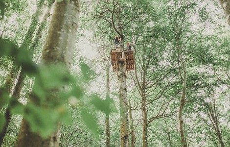 Ett foto över en ziplinebana i en grön bokskog. På bilden ser man höga lövträd. I ett av träden ser man en träställning med en lina. På träställningen står två personer som gör sig redo. 