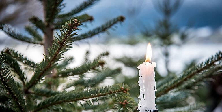En julgranskvist med ett tänt ljus