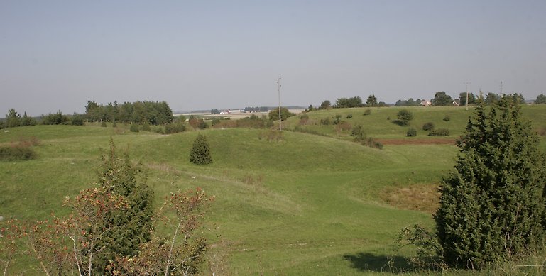 Ett foto från Isberga naturreservat. På bilden ser man ett böljande landskap med flera kullar. Runt om finns lite enar och andra lövträd. I bakgrunden skymtar man landsbygdsbebyggelse. 