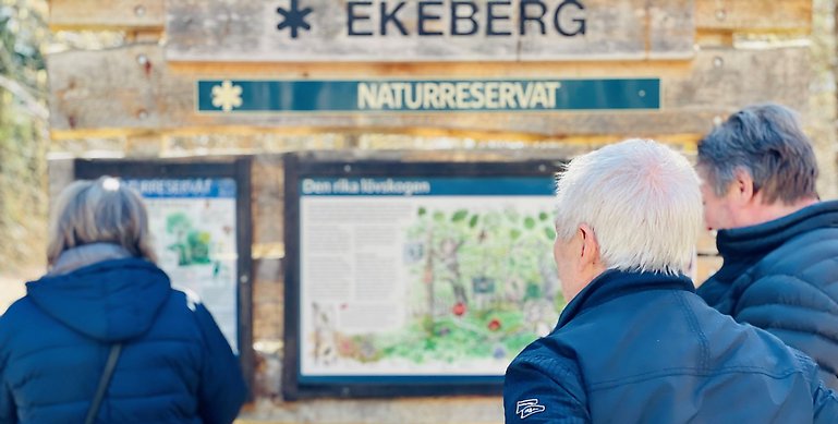 Tre personer, två män och en kvinna som står framför en informationsskylt om Ekebergs lövskog naturreservat.